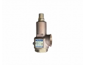 VAN AN TOÀN ĐỒNG KHÔNG TAY NỐI REN 10kgf/cm2 HIỆU YNV