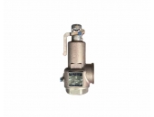 VAN AN TOÀN ĐỒNG CÓ TAY NỐI REN 10kgf/cm2 HIỆU YNV